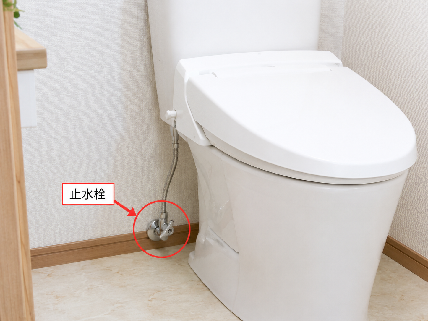 トイレつまりの原因を確認している様子